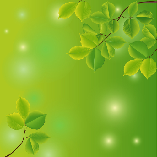 Branches and leaves with green background vector 01 leave green Branches and leaves branches   