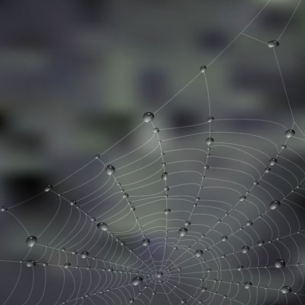 Elements of dew and spider web vector 03 spider web spider elements element dew   