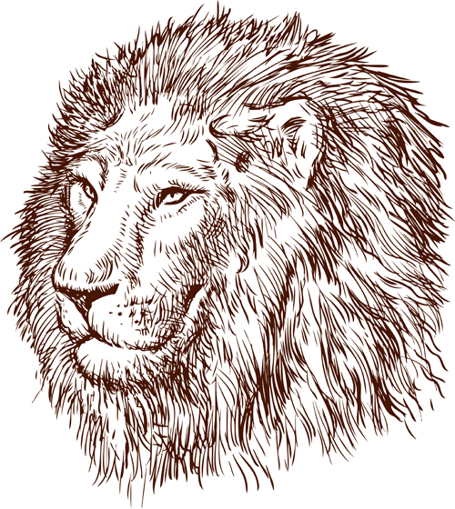 Hand drawing lion vector material 01 lion Hand drawing   