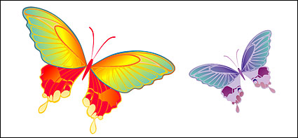 Colorful Butterfly elements vector elements element colorful butterfly   