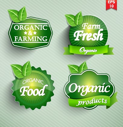 Natural Food label design vector 01 natural label food label food   