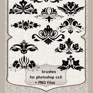 Ornament Elements Brushes photoshop ornament elements brushes   