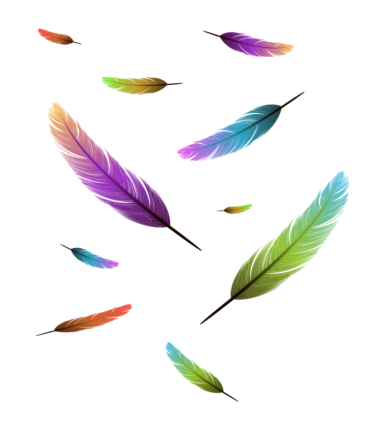 Feather design elements vector Illustration 03 vector illustration illustration feather elements element   