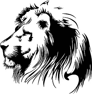 Hand drawn Lion head vector graphic lion head lion hand drawn   