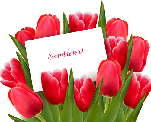 Set of Color Tulips Cards design vector 01 tulips color cards card   