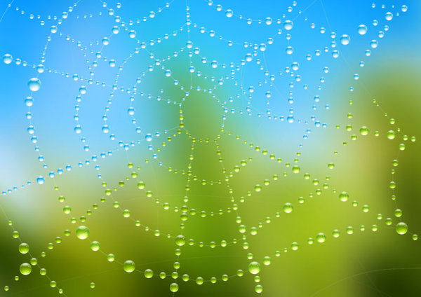 Elements of dew and spider web vector 05 spider web spider elements element dew   