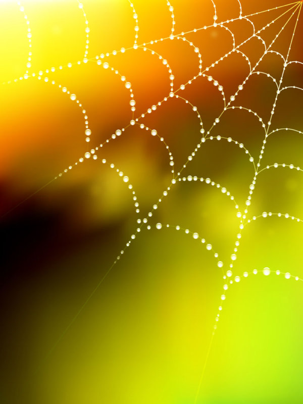 Elements of dew and spider web vector 01 spider web spider elements element dew   