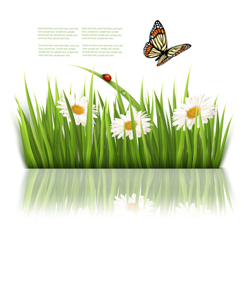 Beautiful butterfly and green grass vector background 04 Vector Background green grass green butterfly beautiful   