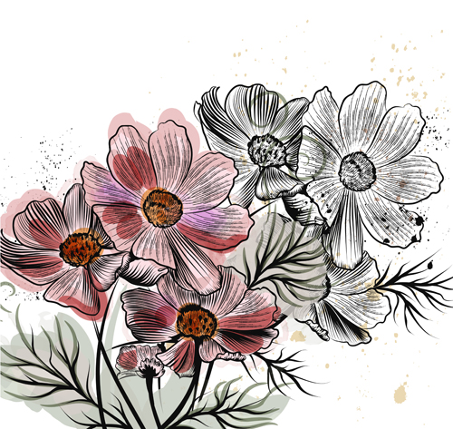 Hand drawn cosmos flowers vector hand drawn flowers cosmos flowers   