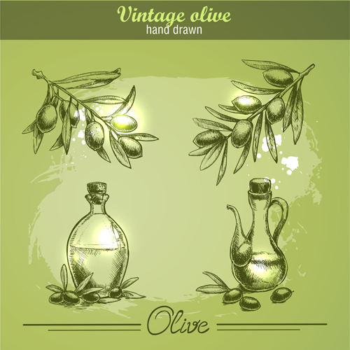 Hand drawn vintage olive vector 03 vintage olive hand drawn   