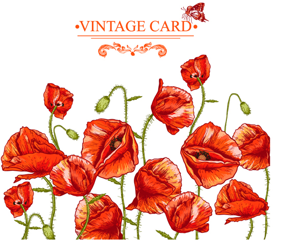 Hand drawing poppies vintage card vector vintage poppies Hand drawing card   