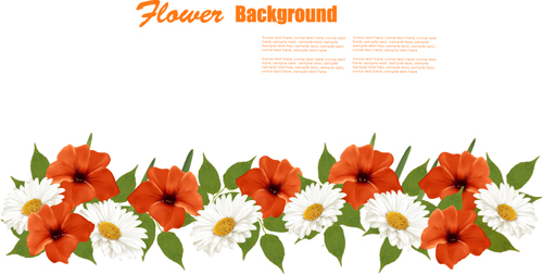 Summer white and orange flowers background vector 01 white summer orange flowers flower background vector background   
