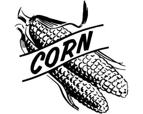 Hand drawn corn vector design 02 hand drawn corn   