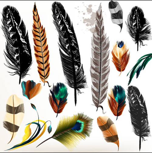 Realistic feathers vector design set 03 realistic feathers   