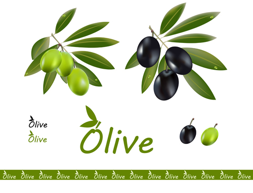 Delicate olives vector design material 04 olive delicate   