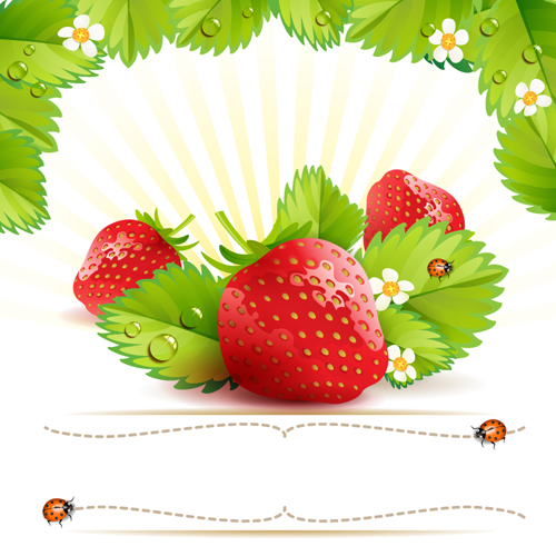 Fresh Strawberry vector 01 strawberry fresh   