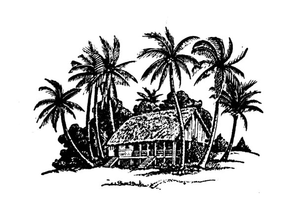 Hand drawing coconut tree and house vector house hand-draw hand drawing coconut   