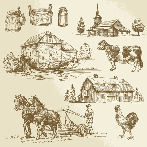 Farm and poultry hand drawn vector 04 poultry hand drawn farm   
