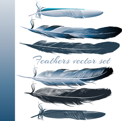 Realistic feathers vector design set 01 realistic feathers   