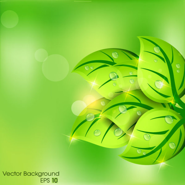 green background with leaves vector 05 leaves leave green   