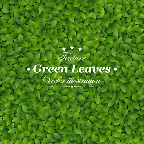 Green Leaves design vector leave green leaves green   