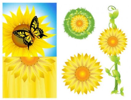 Sunflower background graphics set vector sunflower graphics background   
