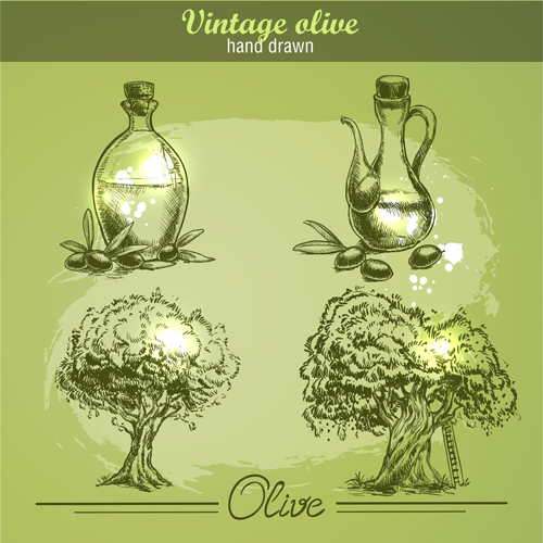 Hand drawn vintage olive vector 01 vintage olive hand drawn   