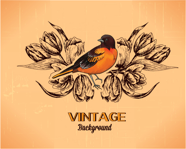 Elegant Vintage background set 10 vintage vector illustration illustration elegant background   