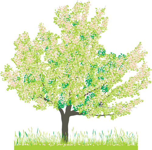 Different Spring tree elements vector 03 tree spring elements element different   