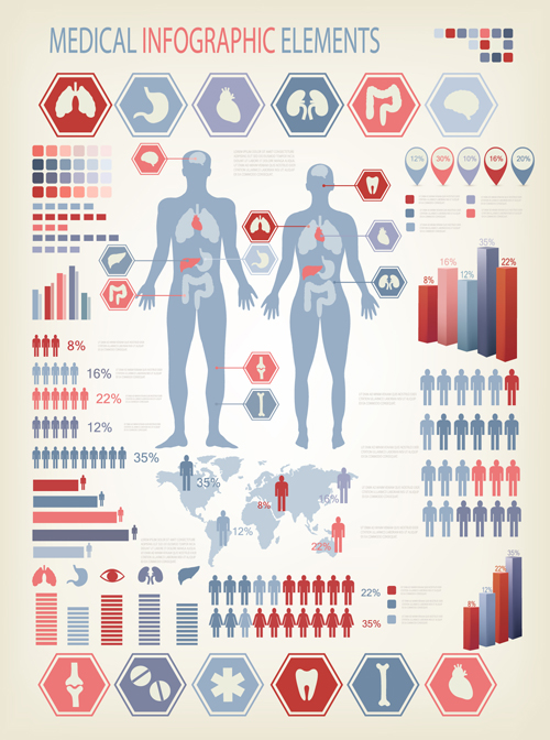 Human health infographics vector material 01 infographics infographic human health   