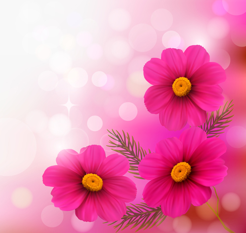Pink flower with halation background art pink halation flower background   