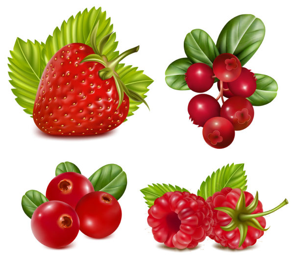 Various tasty Fruit elements vector 03 Various fruit elements element   