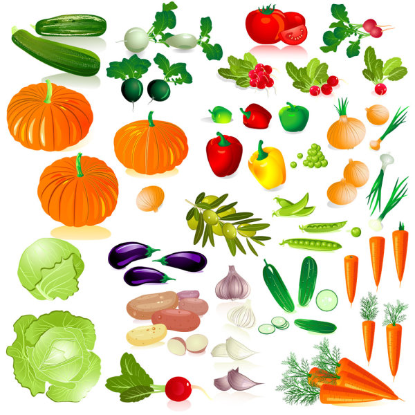 Different Fresh vegetables vector graphics 02 vegetables vegetable fresh different   