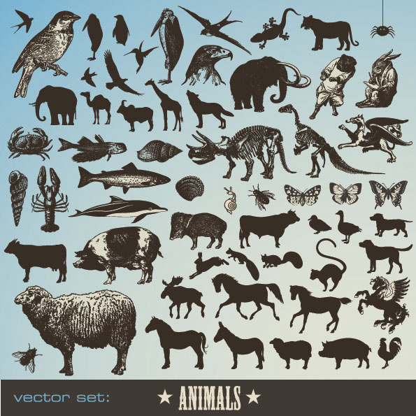 Animal icon vector set 01 vector vector icon Animal   