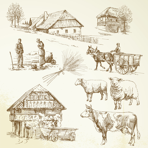 Farm and poultry hand drawn vector 01 poultry hand drawn farm   