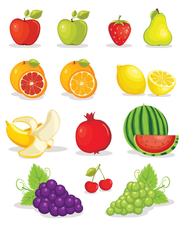 Various tasty Fruit elements vector 01 Various fruit elements element   