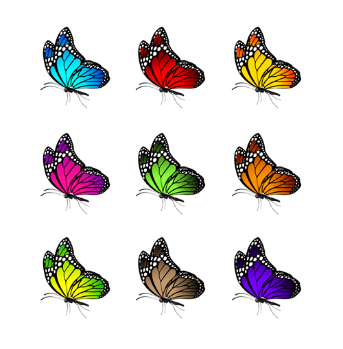 Beautiful butterflies vector icons set 01 icons butterflies beautiful   