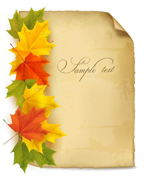 Parchment with autumn leaves background vector parchment background autumn leaves autumn   