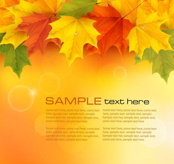 Autumn of Maple leaf vector background set 05 maple leaf leaf autumn   