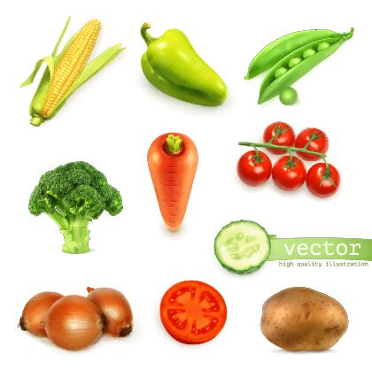 Fresh vegetable shiny vector material vegetable material fresh   