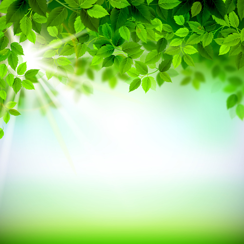 Sunlight with green leaves shiny background vector 02 sunlight shiny green leaves background   