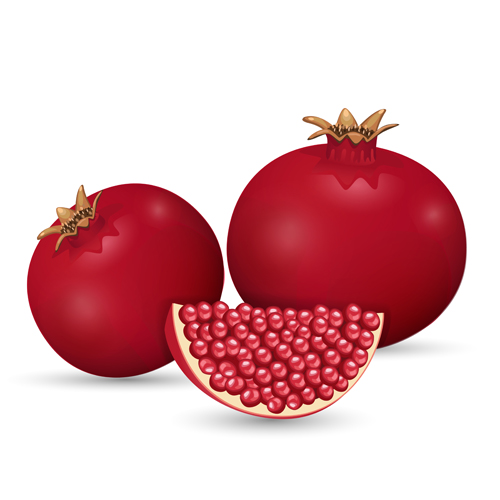 Realistic pomegranate design vector 02 realistic pomegranate   