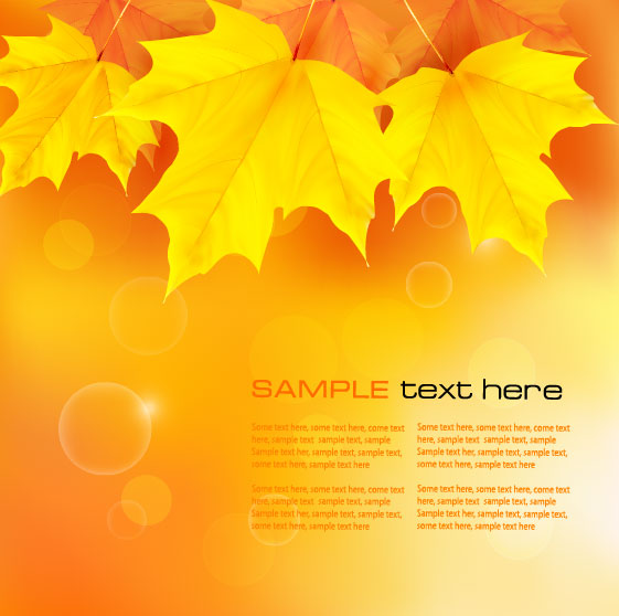 Autumn of Maple leaf vector background set 02 maple leaf leaf autumn   