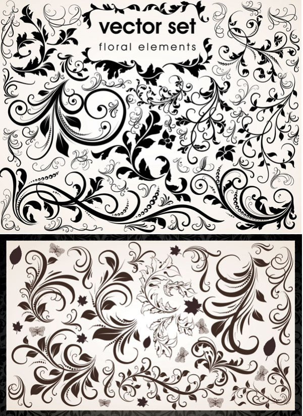 Border exquisite vector vector lace delicate   