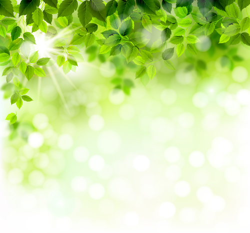 Sunlight with green leaves shiny background vector 01 sunlight shiny green leaves background   