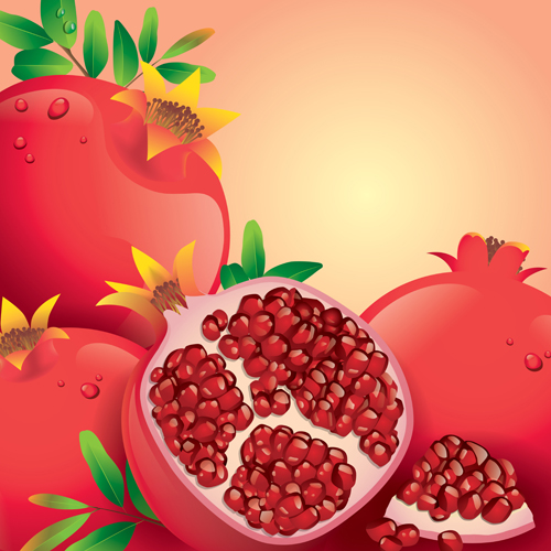 Fresh pomegranate vector background pomegranate fresh background   