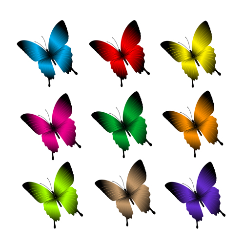 Beautiful butterflies vector icons set 02 icons butterflies beautiful   