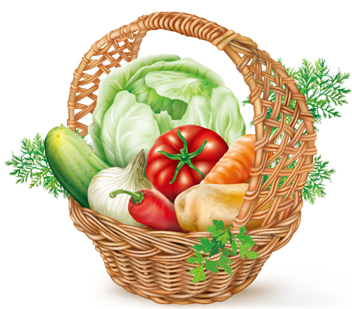 Basket with vegetables vector material vegetables basket   