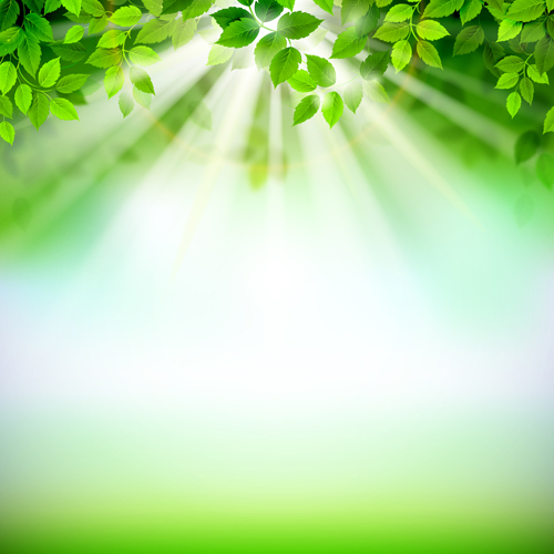 Sunlight with green leaves shiny background vector 03 sunlight shiny green leaves background   