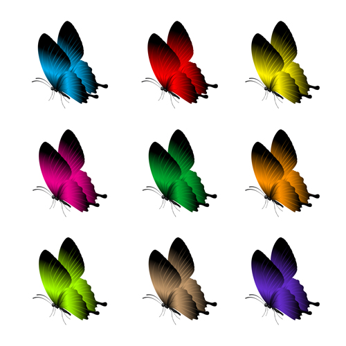 Beautiful butterflies vector icons set 03 icons butterflies beautiful   